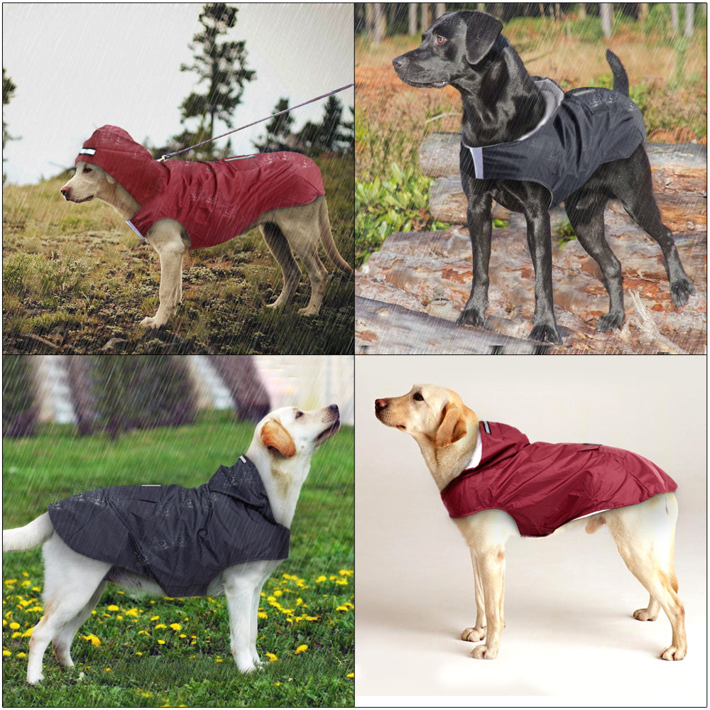 dog rain jacket