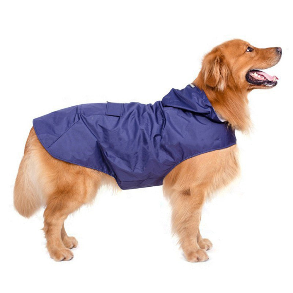 dog rain jacket