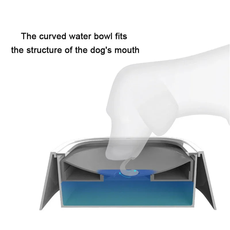 anti-splash dog bowl