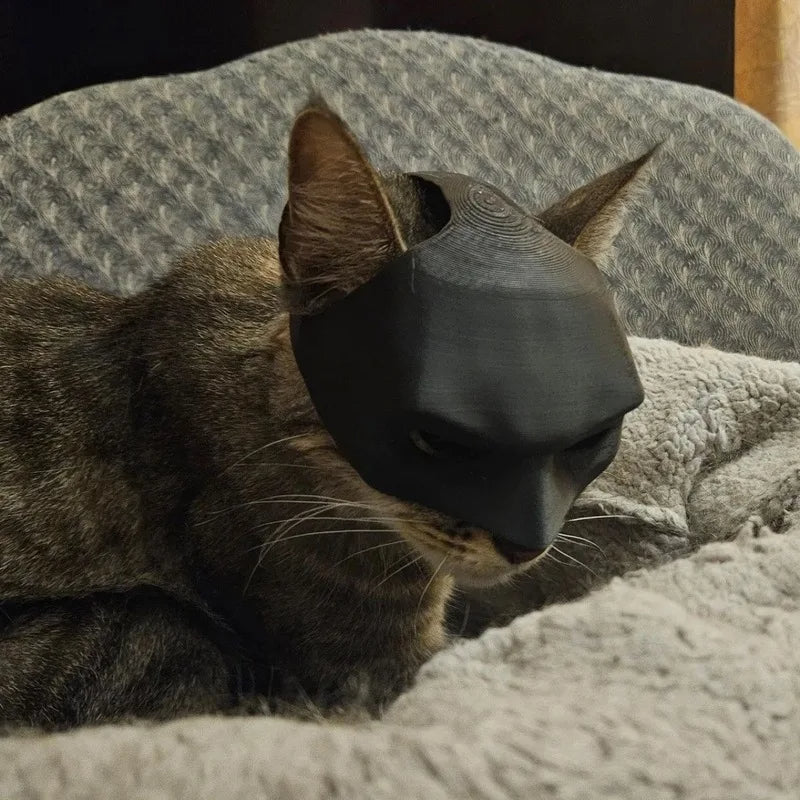 Batman Katzen-Maske