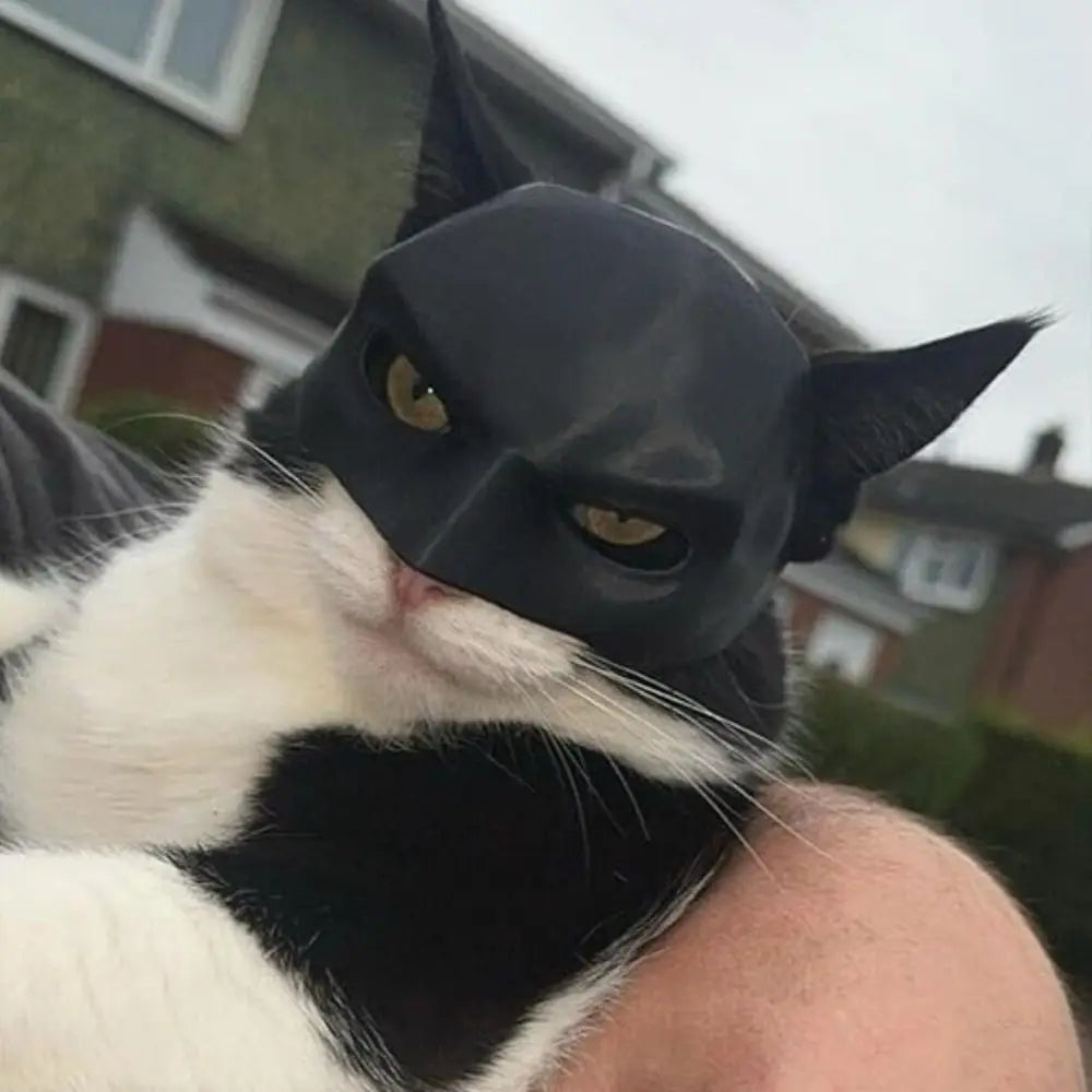 Batman Katzen-Maske