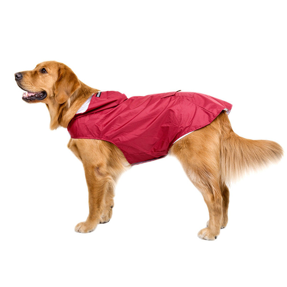 dog rain jacket