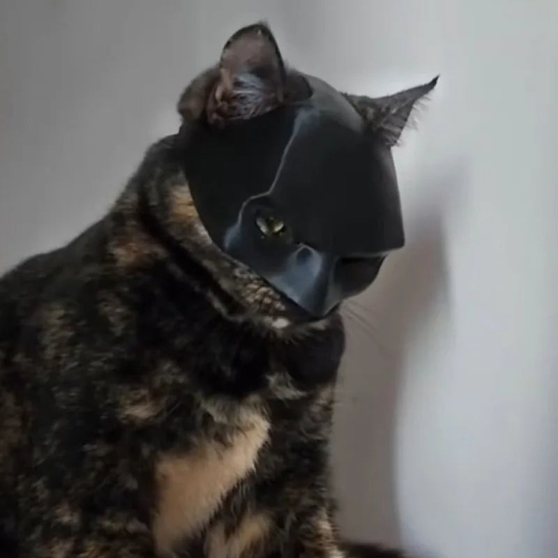 Batman cat mask